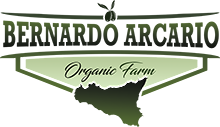 Bernardo Arcario Organic Farm
